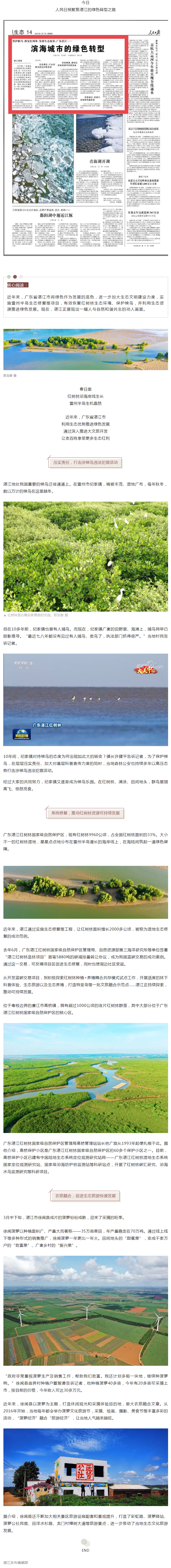 人民日?qǐng)?bào)頭條聚焦湛江:濱海城市的綠色轉(zhuǎn)型!.png