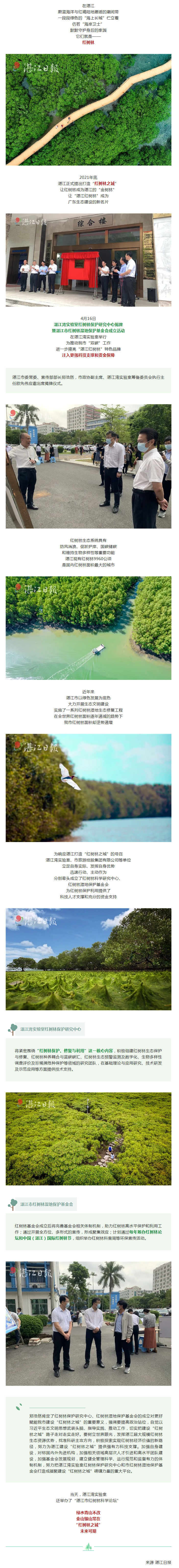 湛江紅樹林之城，插上騰飛的雙翼！.png