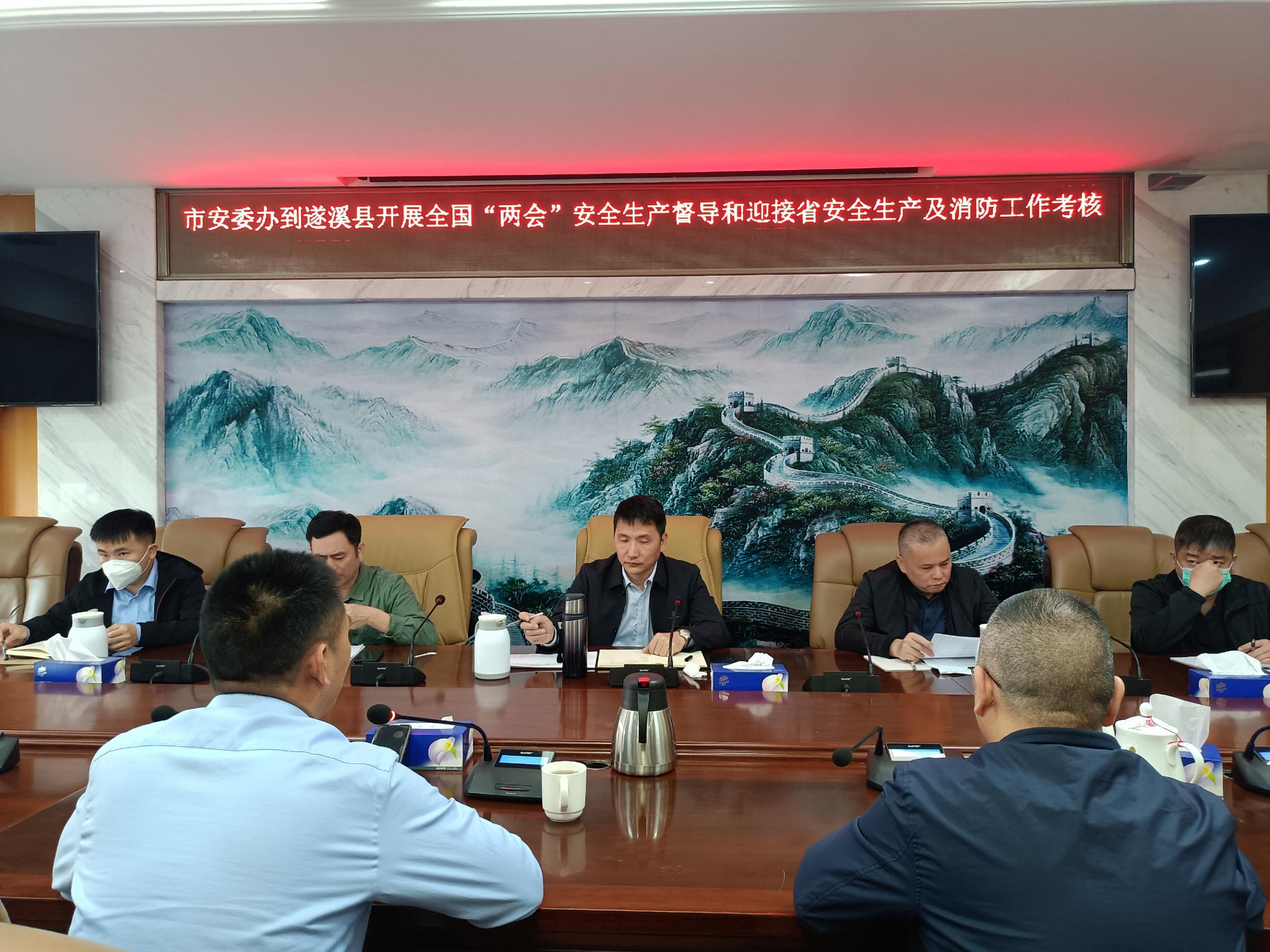 市安委辦督導(dǎo)組到遂溪縣開展全國“兩會”期間安全生產(chǎn)重大隱患專項整治指導(dǎo)和迎接省1.png