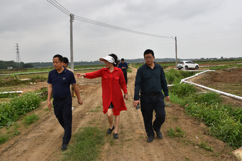 自動(dòng)轉(zhuǎn)存圖片