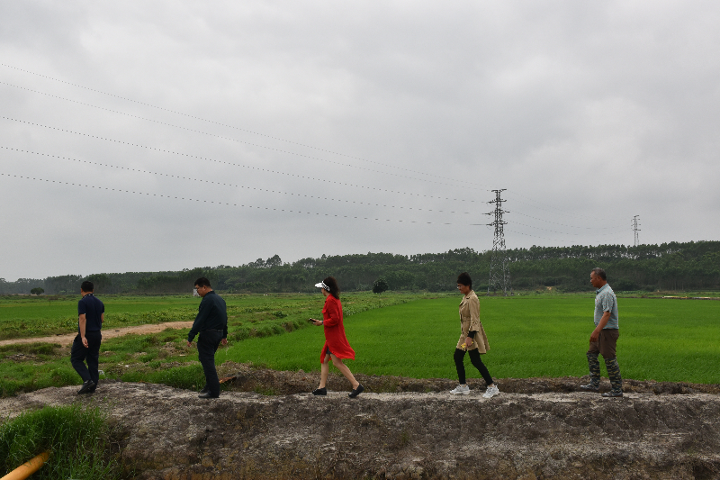 自動(dòng)轉(zhuǎn)存圖片