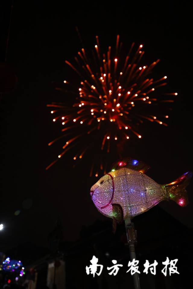 煙花綻放，游魚熠熠生輝。