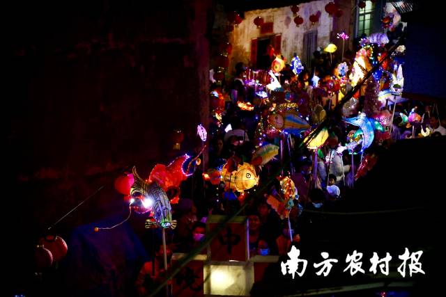 夜幕降臨，北坡游魚流光溢彩。