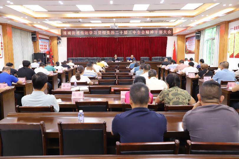 遂城街道傳達(dá)學(xué)習(xí)貫徹黨的二十屆三中全會精神干部大會1.JPG