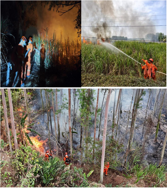 遂溪森林消防的春節(jié)堅(jiān)守：防火護(hù)林 守護(hù)萬家3.png