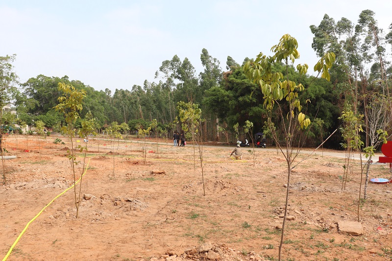 7 植樹(shù)后的“鄉(xiāng)村振興林”.JPG
