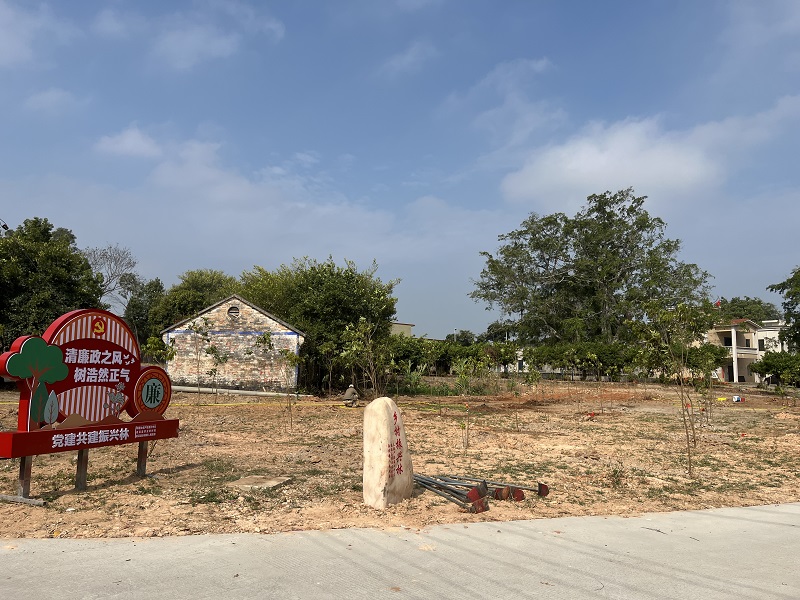 8 植樹(shù)后的“鄉(xiāng)村振興林”.JPG