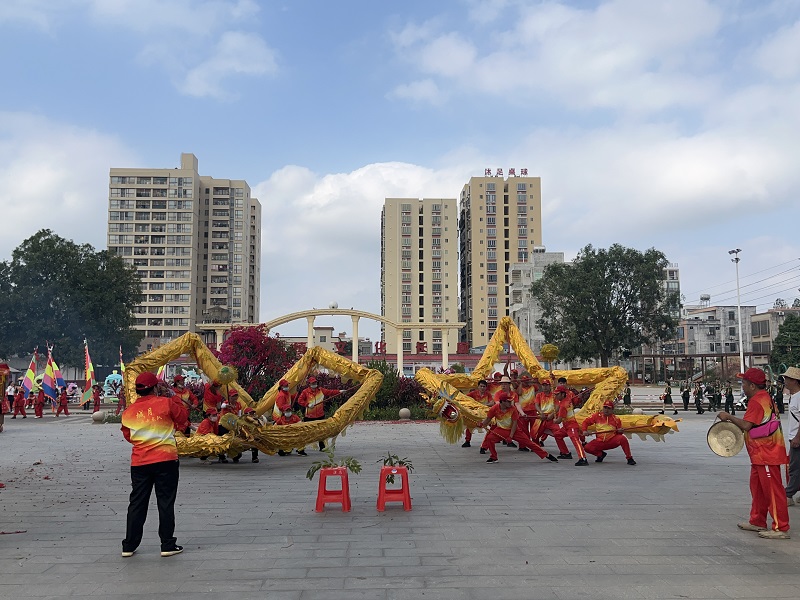 3 游村社之舞龍.JPG