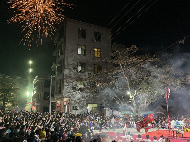 4 大型舞龍舞獅武術等表演.JPG