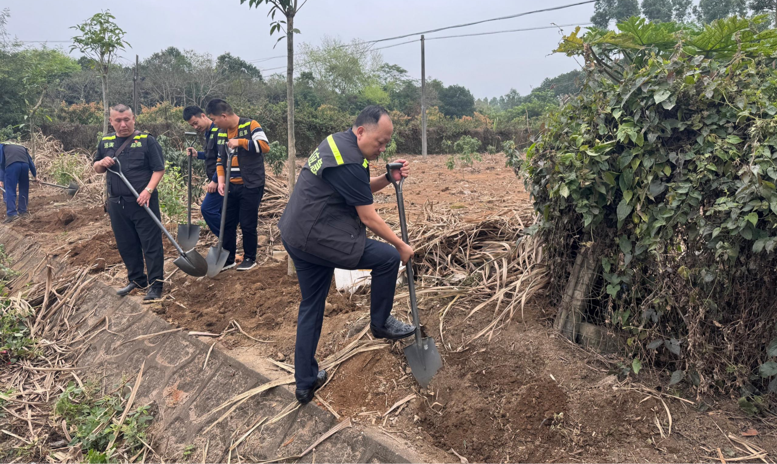 應(yīng)急先鋒植新綠 攜手賦能“百千萬工程”2.png