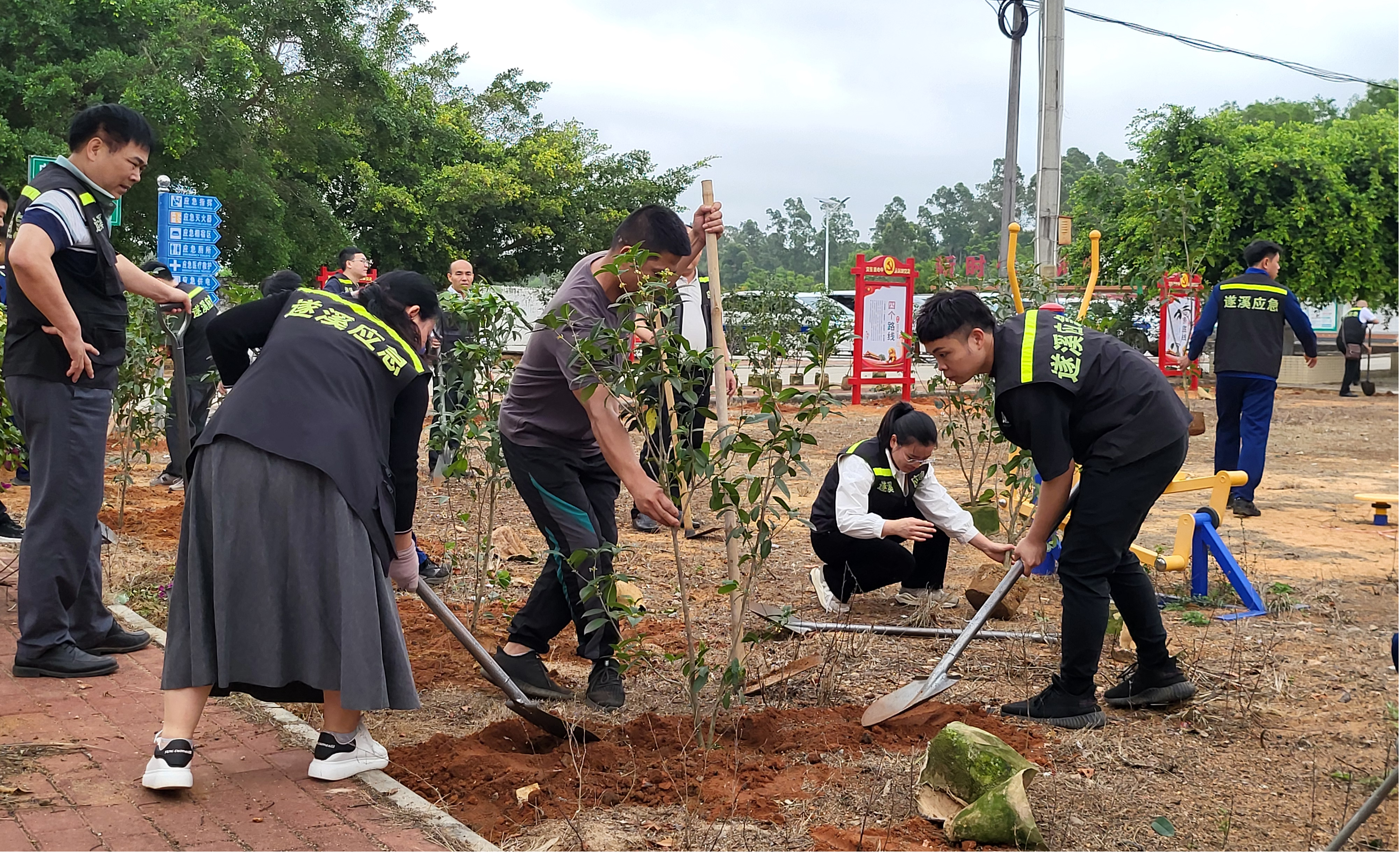 應(yīng)急先鋒植新綠 攜手賦能“百千萬工程”4.png