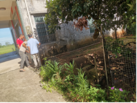 自動轉(zhuǎn)存圖片