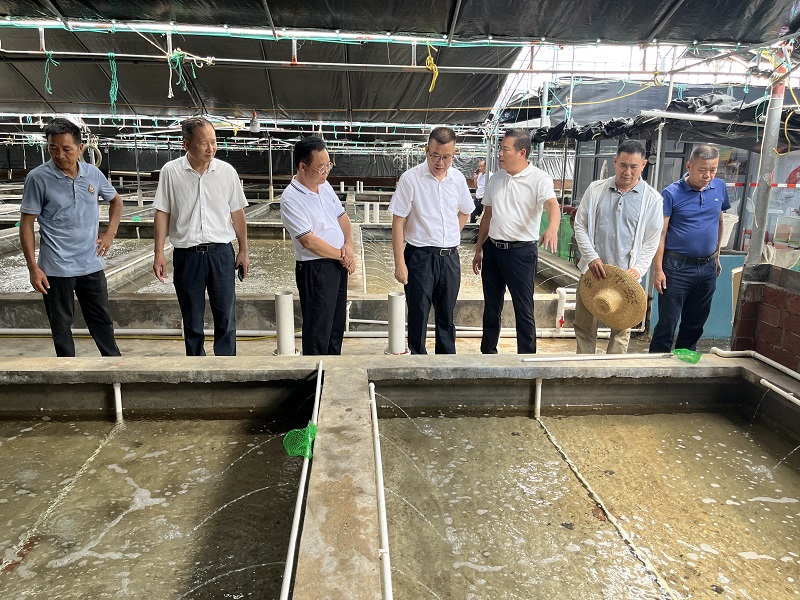 市政協(xié)到樂民鎮(zhèn)開展“百千萬工程”工作考察調(diào)研