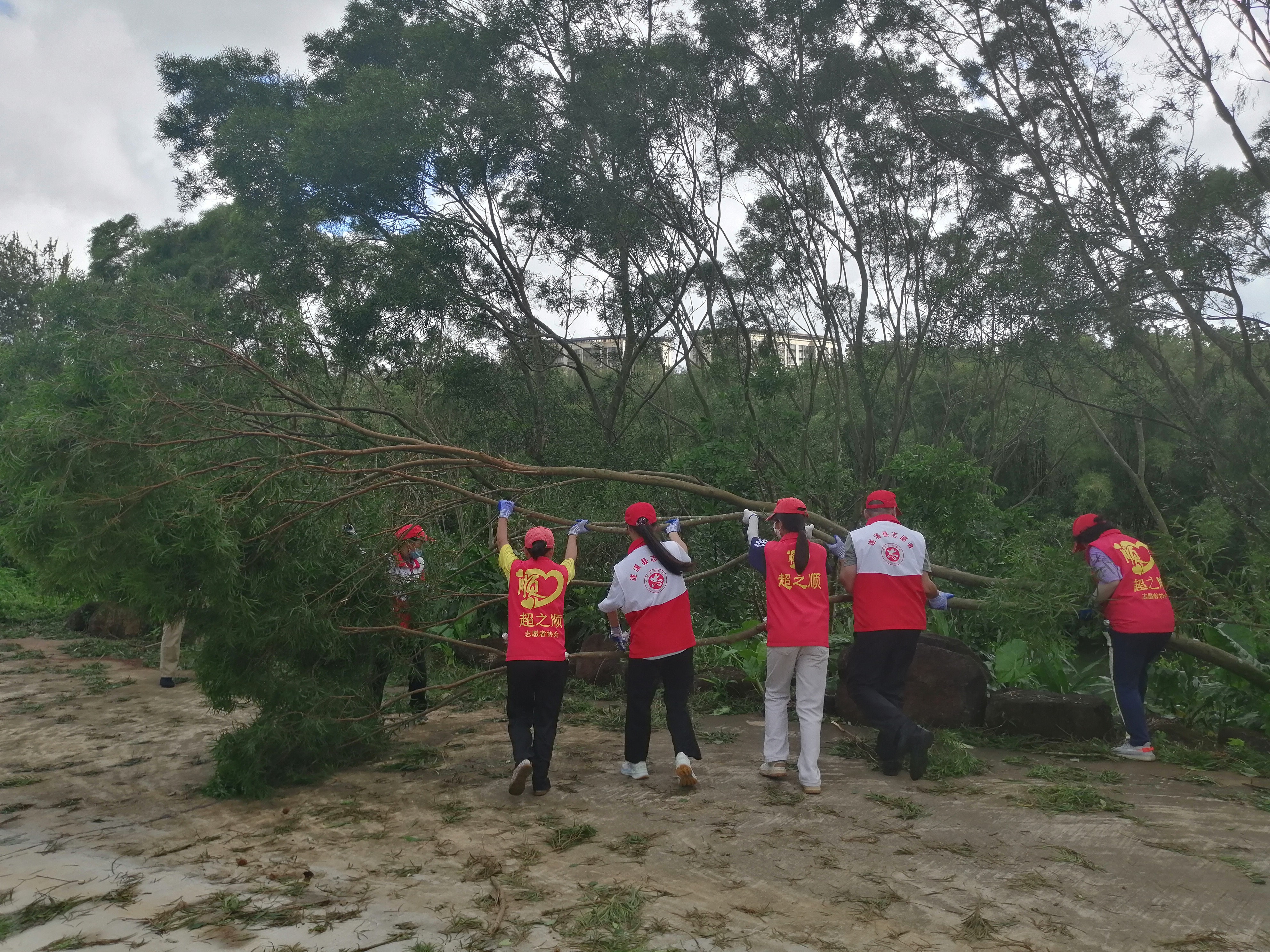 志愿者協(xié)助清理孔子文化城落木殘枝.jpg