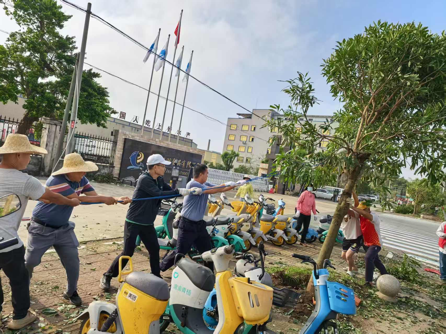迅速響應(yīng) 晝夜突擊——遂城街道高效完成臺風(fēng)災(zāi)后清障恢復(fù)任務(wù)
