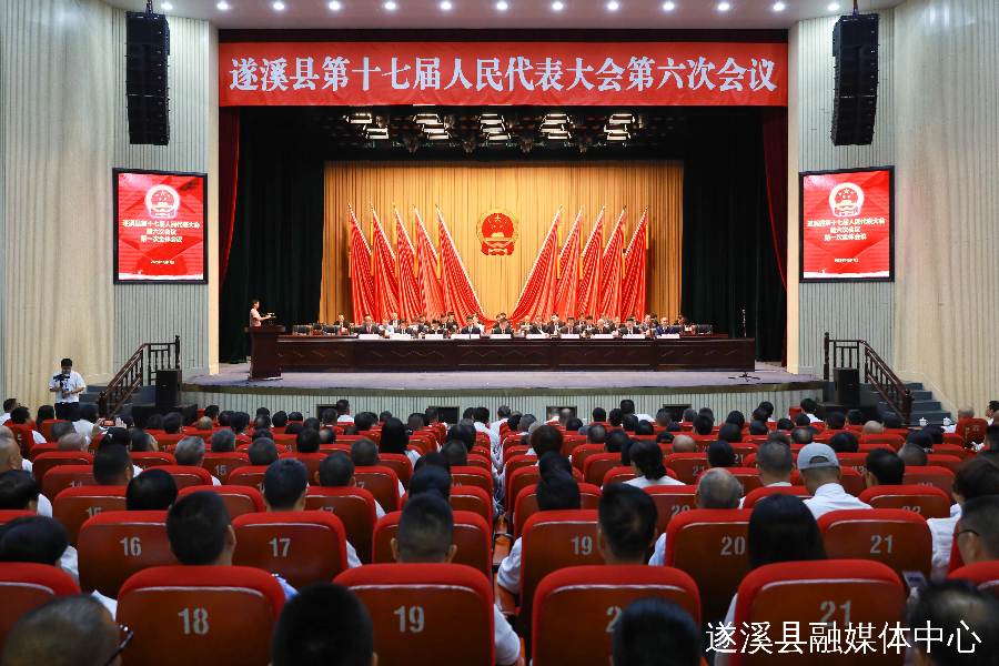 遂溪縣第十七屆人民代表大會第六次會議勝利召開 張洋當(dāng)選遂溪縣人民政府縣長