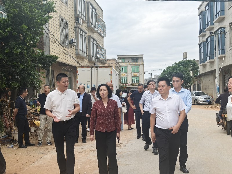 圖2:越秀區(qū)政協(xié)郭環(huán)主席深入樂(lè)民村開(kāi)展實(shí)地調(diào)研.jpg