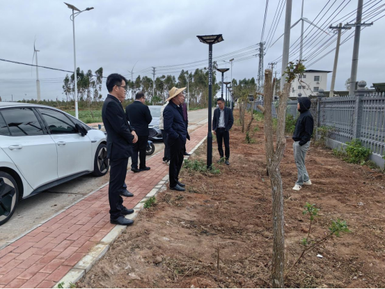 樂民鎮(zhèn)人大：開展典型村建設督導 助力“百千萬工程”提質增效