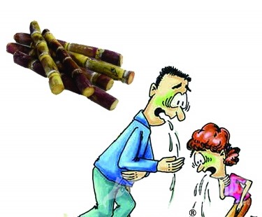 專(zhuān)家提醒：霉變甘蔗易中毒 別貪吃